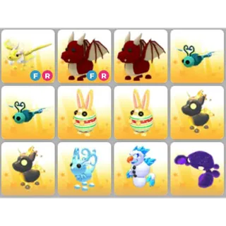 BUNDLE PET X12