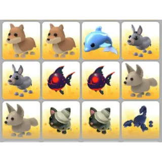 BUNDLE PET X12