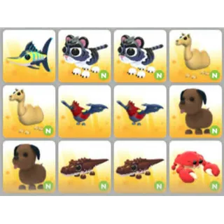BUNDLE PET X12