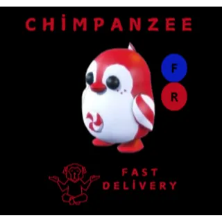 PEPPERMINT PENGUIN FR