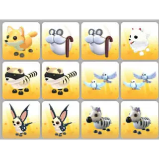BUNDLE PET X12