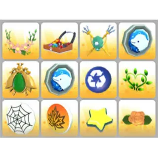 BUNDLE PET WEAR X12