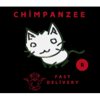 2D KITTY R
