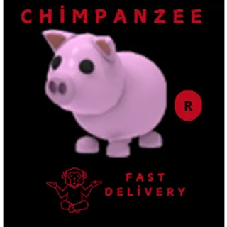 PIG R