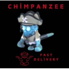Pirate Ghost Capuchin Monkey