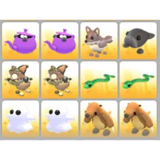 BUNDLE PET X12