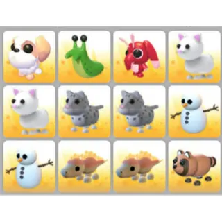 BUNDLE PET X12