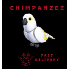 white Amazon