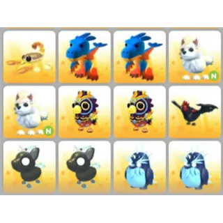 BUNDLE PET X12