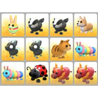 BUNDLE PET X12