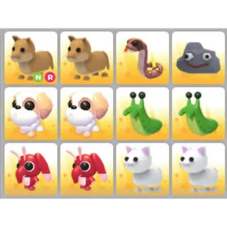 BUNDLE PET X12