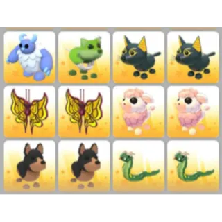 BUNDLE PET X12