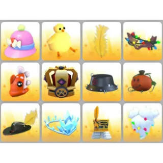 BUNDLE PET WEAR X12