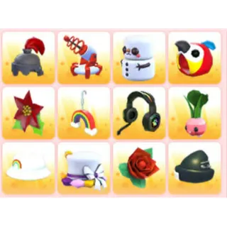 BUNDLE PET WEAR X12