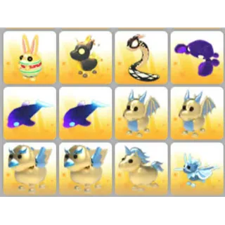 BUNDLE PET X12