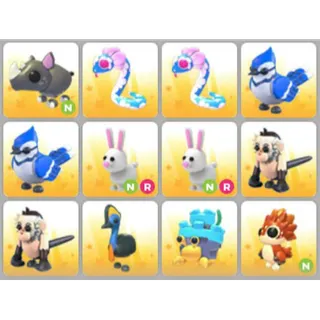 BUNDLE PET X12