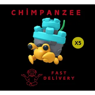 castle hermit crab X5