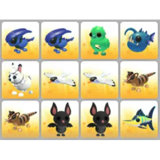 BUNDLE PET X12