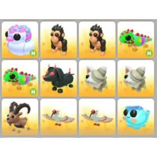 BUNDLE PET X12
