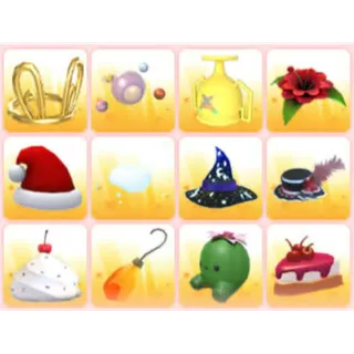 BUNDLE PET WEAR X12