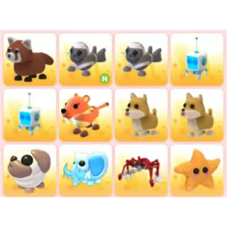 BUNDLE PET X12