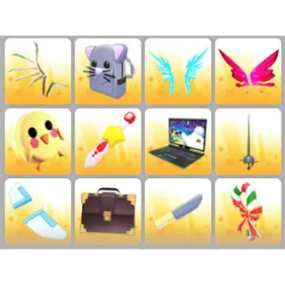 BUNDLE PET WEAR X12