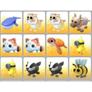 BUNDLE PET X12