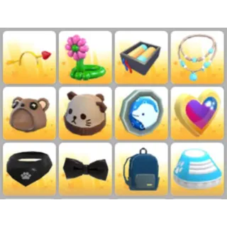BUNDLE PET WEAR X12