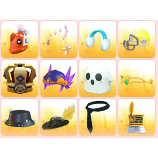 BUNDLE PET WEAR X12