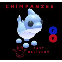 SHARK PUPPY FR