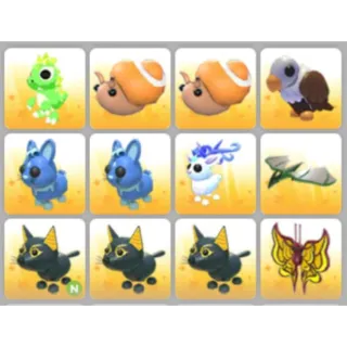 BUNDLE PET X12