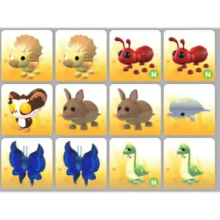 BUNDLE PET X12