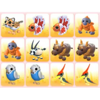 BUNDLE PET X12
