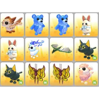 BUNDLE PET X12
