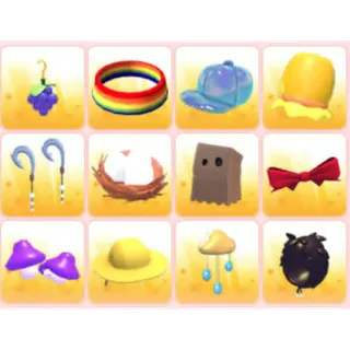 BUNDLE PET WEAR X12