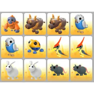 BUNDLE PET X12