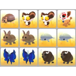 BUNDLE PET X12
