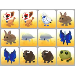 BUNDLE PET X12