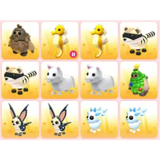 BUNDLE PET X12