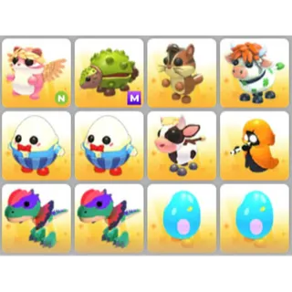 BUNDLE PET X12