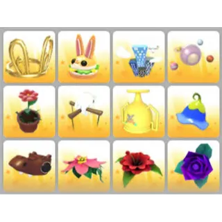 BUNDLE PET WEAR X12