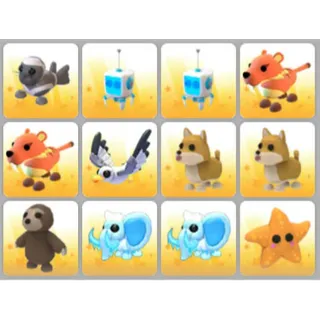 BUNDLE PET X12