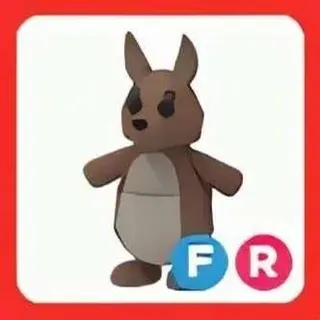 Pet | FR Kangaroo