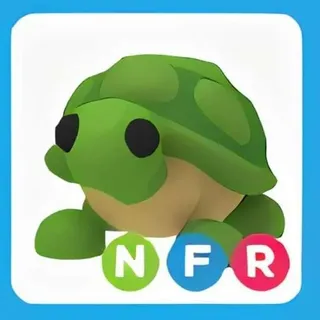 Pet | NFR Turtle