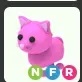 Pet | NFR Pink Cat