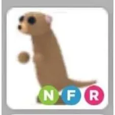 Pet | NFR Meerkat