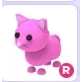 R Pink Cat