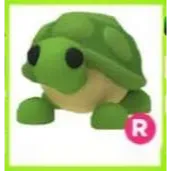 Pet | R Turtle