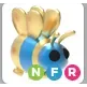 Pet | NFR Queen Bee