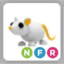 Pet | NFR Golden Rat